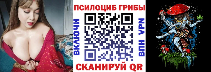 Псилоцибиновые грибы Cubensis  Таруса 